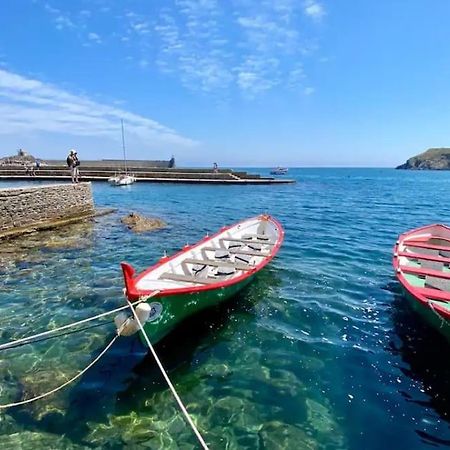 Collioure Fisherman'S House Apartment With Garden ภายนอก รูปภาพ