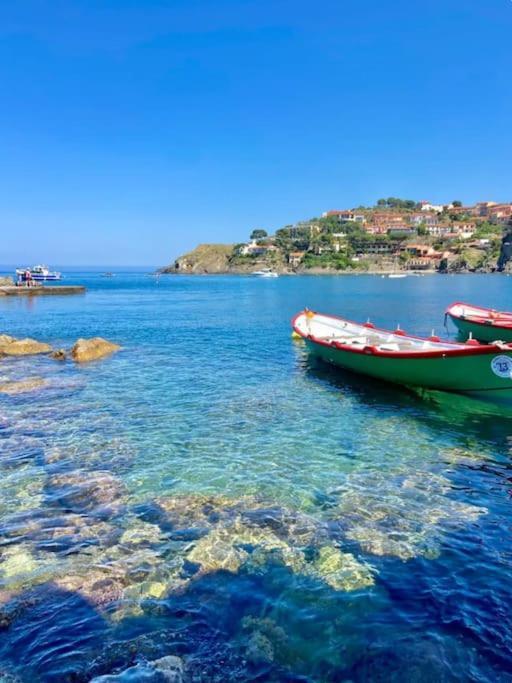 Collioure Fisherman'S House Apartment With Garden ภายนอก รูปภาพ