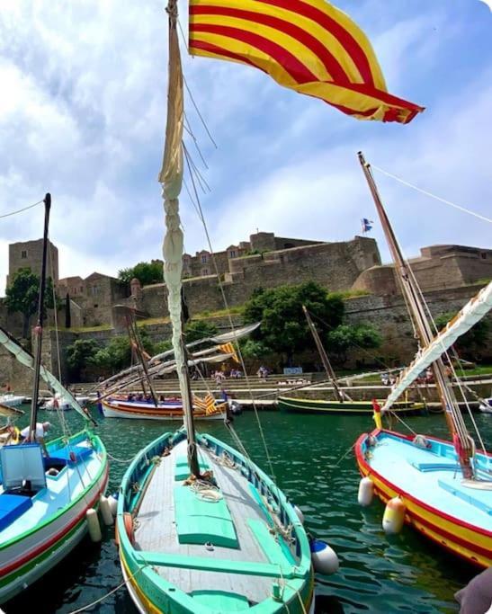 Collioure Fisherman'S House Apartment With Garden ภายนอก รูปภาพ