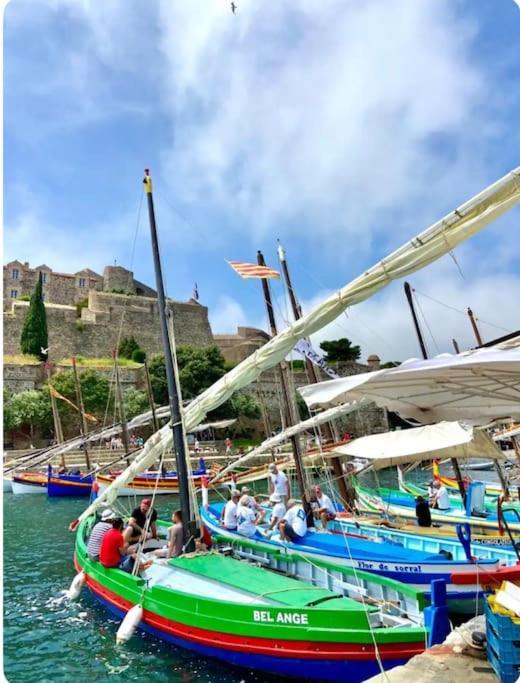 Collioure Fisherman'S House Apartment With Garden ภายนอก รูปภาพ
